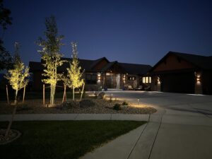 outdoor lighting illuminating residential landscaping